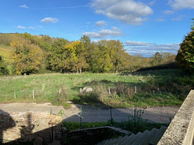 Image_, Maison, Crêches-sur-Saône, ref :462