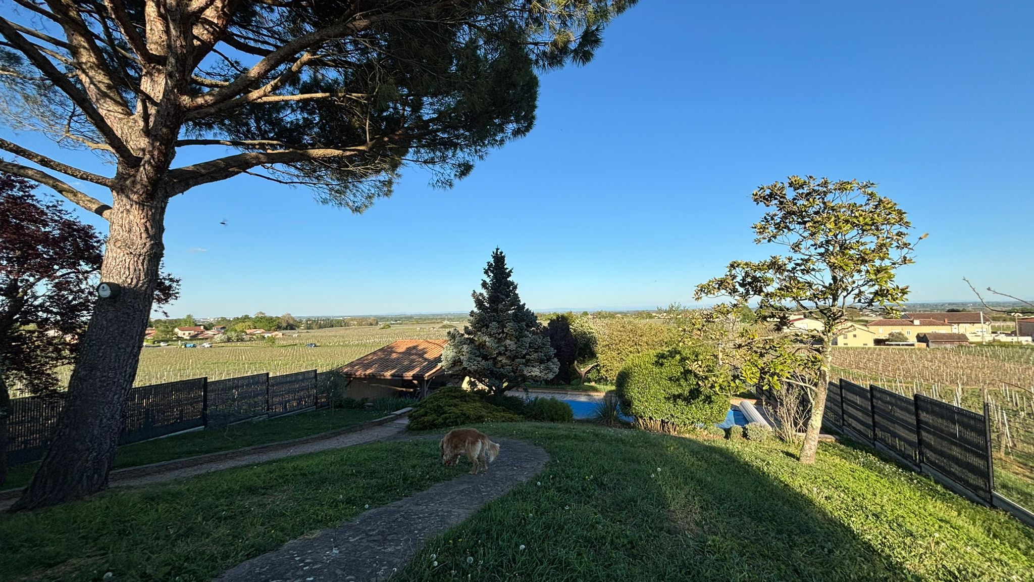 Image_, Maison, Crêches-sur-Saône, ref :484