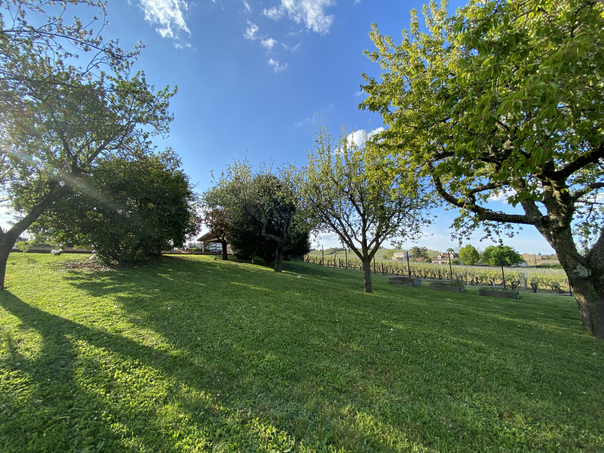 Image_, Maison, Crêches-sur-Saône, ref :484