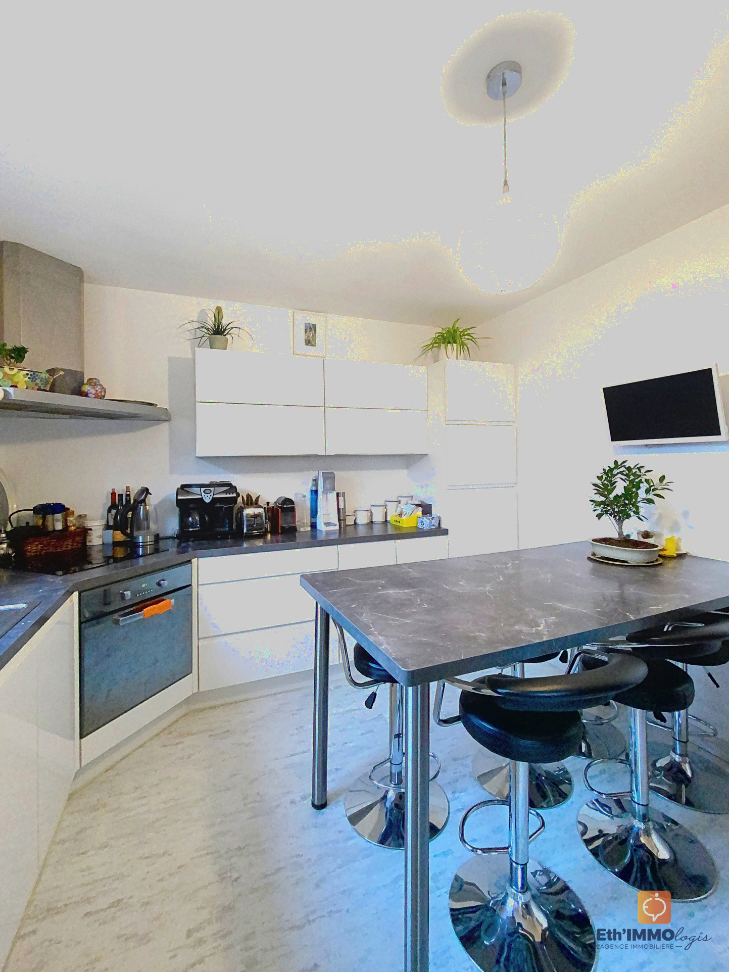 Image_, Villa, Crêches-sur-Saône, ref :467