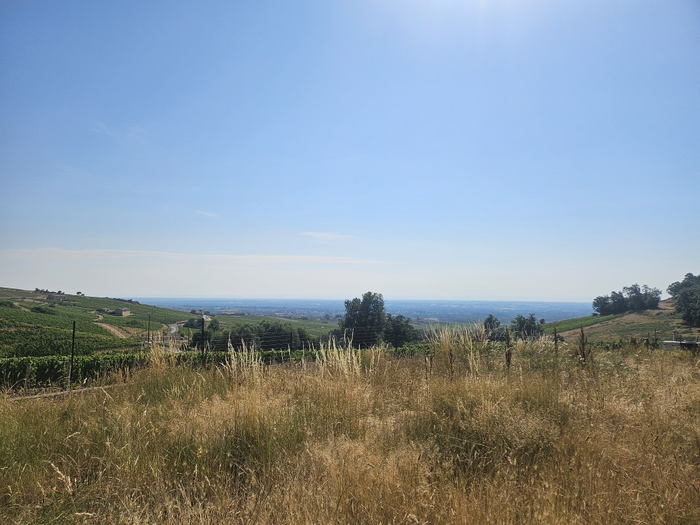 Image_, Maison, Fleurie, ref :508