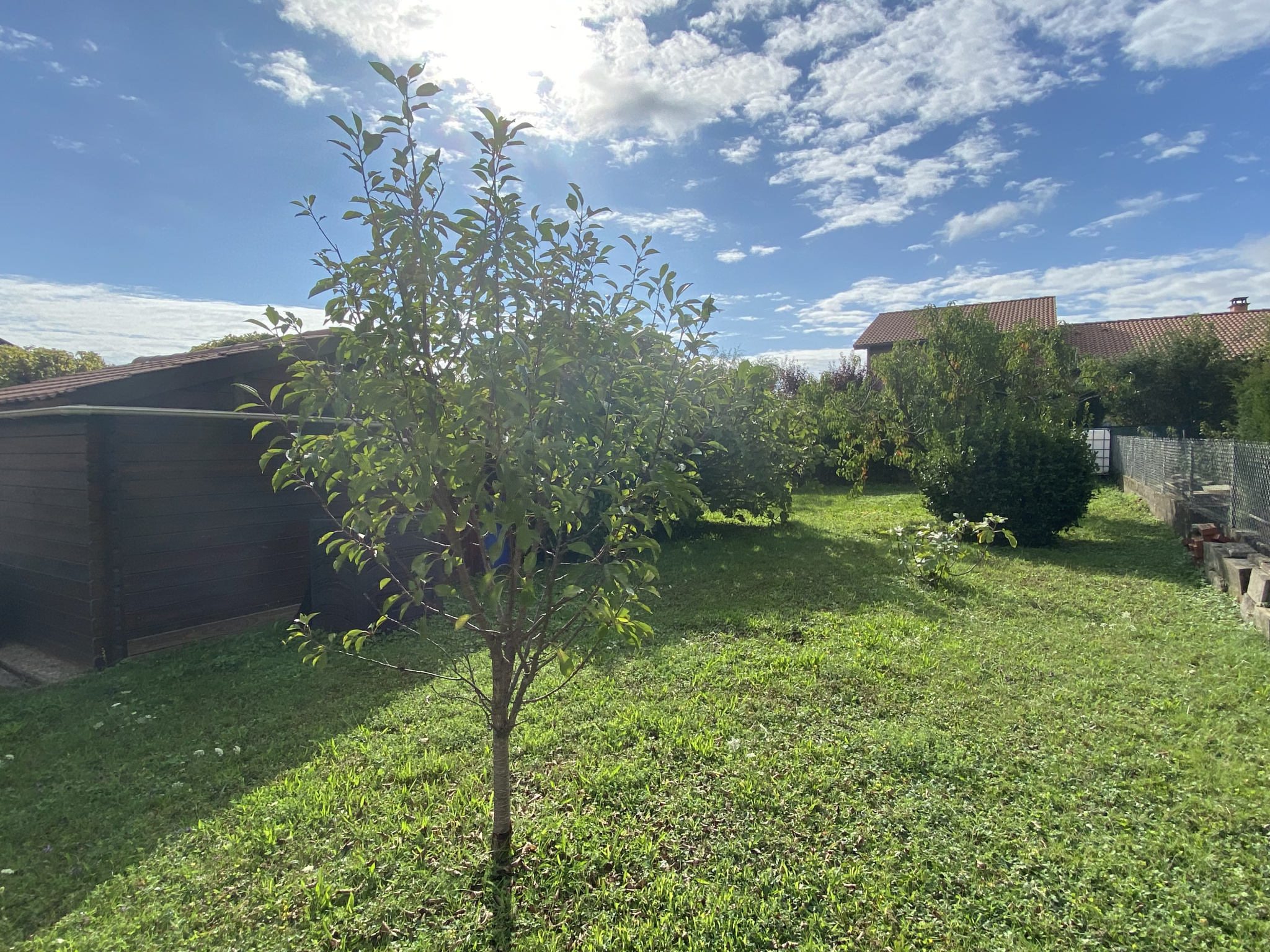 Image_, Maison, Crêches-sur-Saône, ref :455