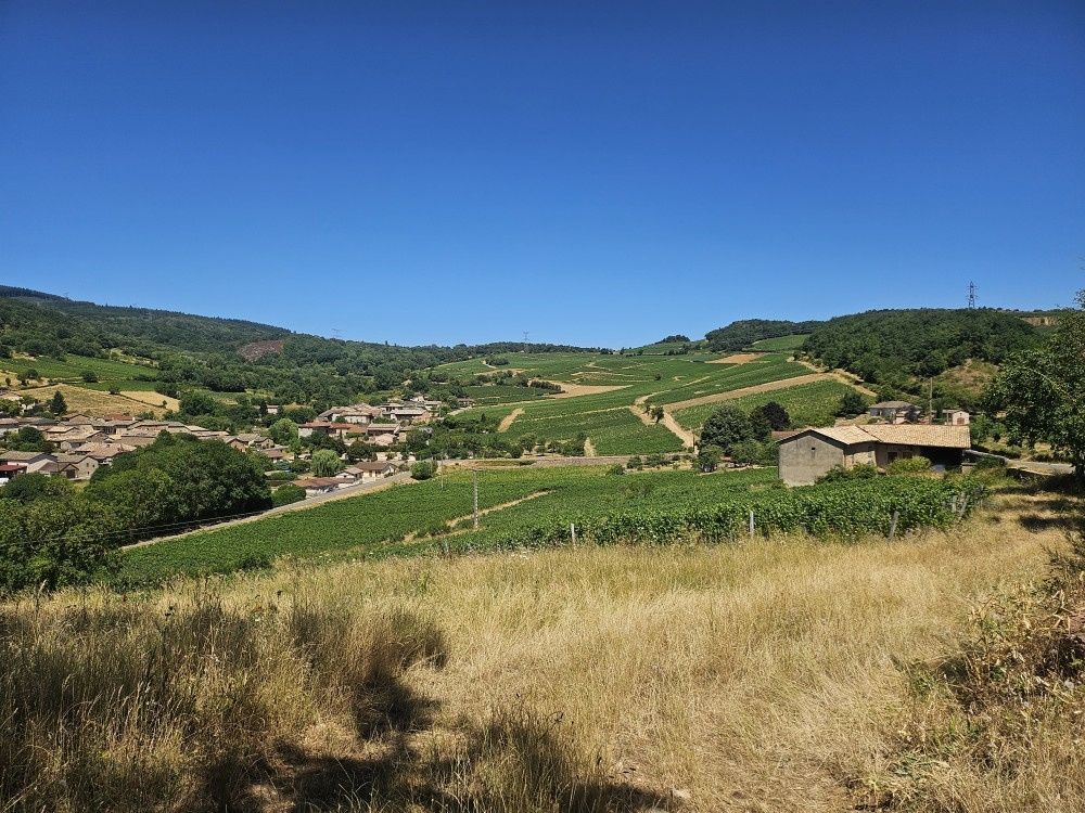 Image_, Maison de village, Chasselas, ref :507