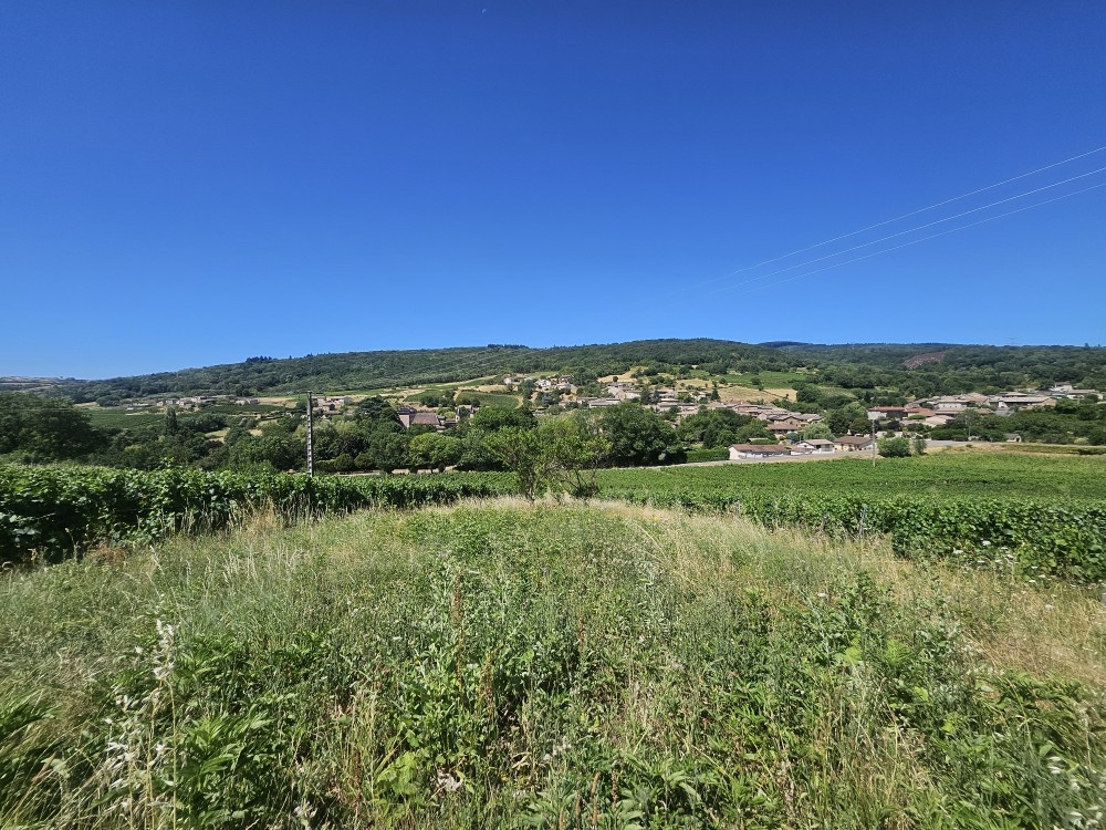 Image_, Maison de village, Chasselas, ref :507