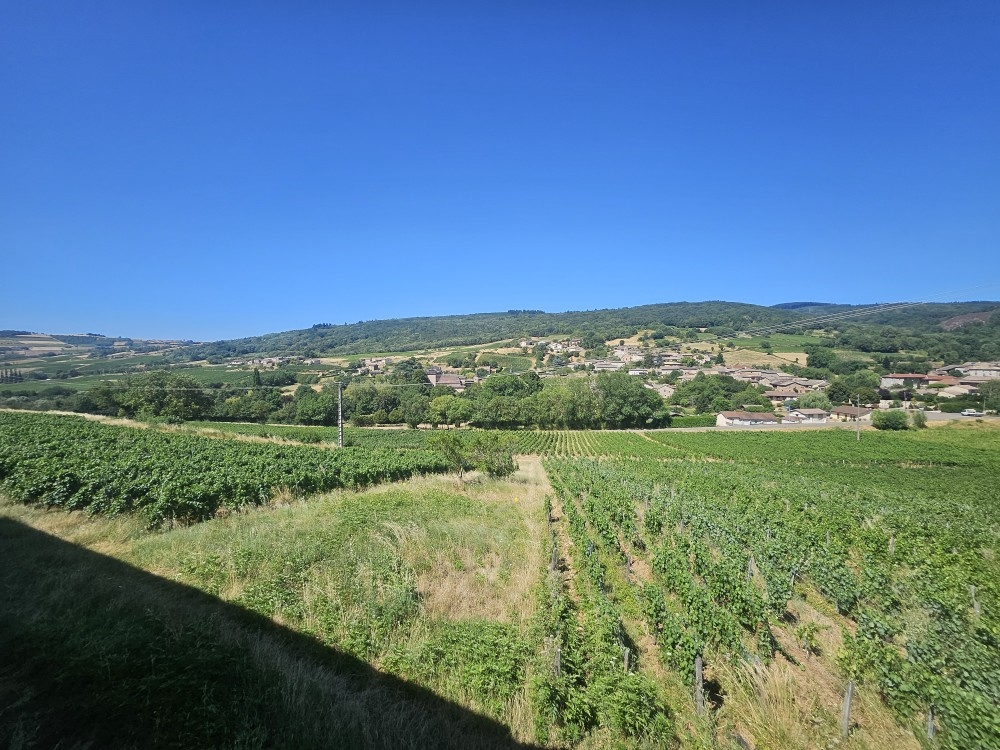 Image_, Maison de village, Chasselas, ref :507