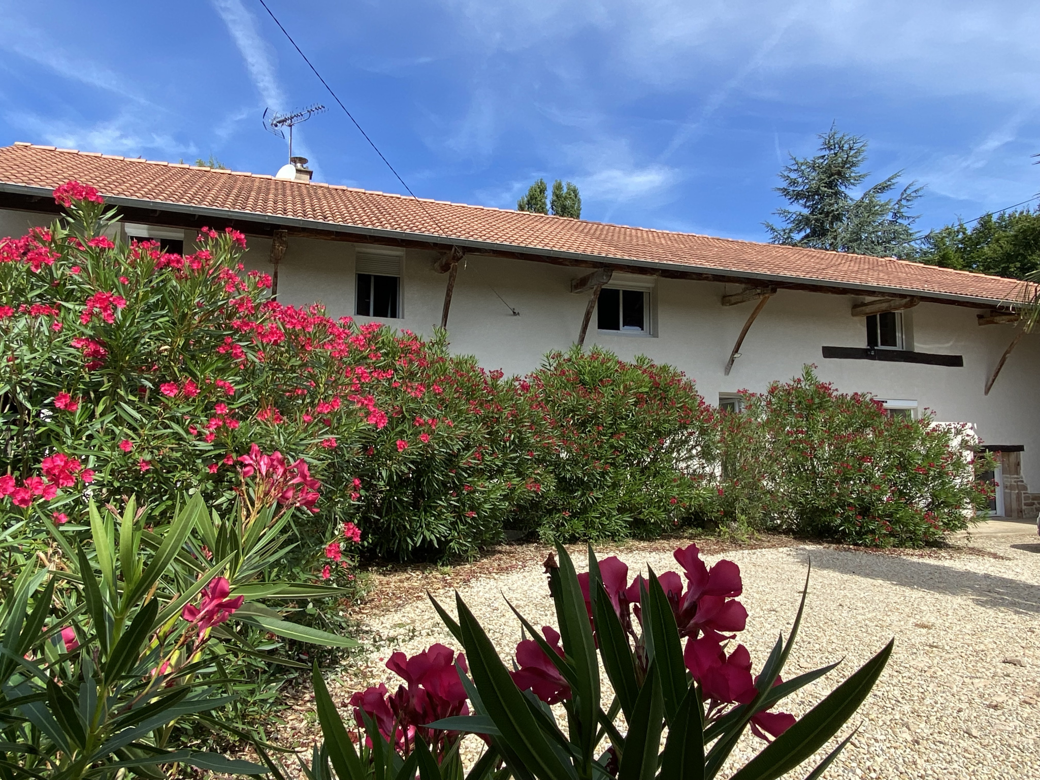 Image_, Ferme, Mâcon, ref :448