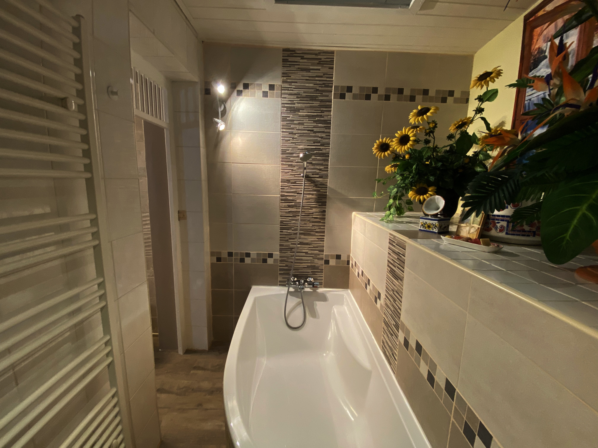 Image_, Maison, Mâcon, ref :435