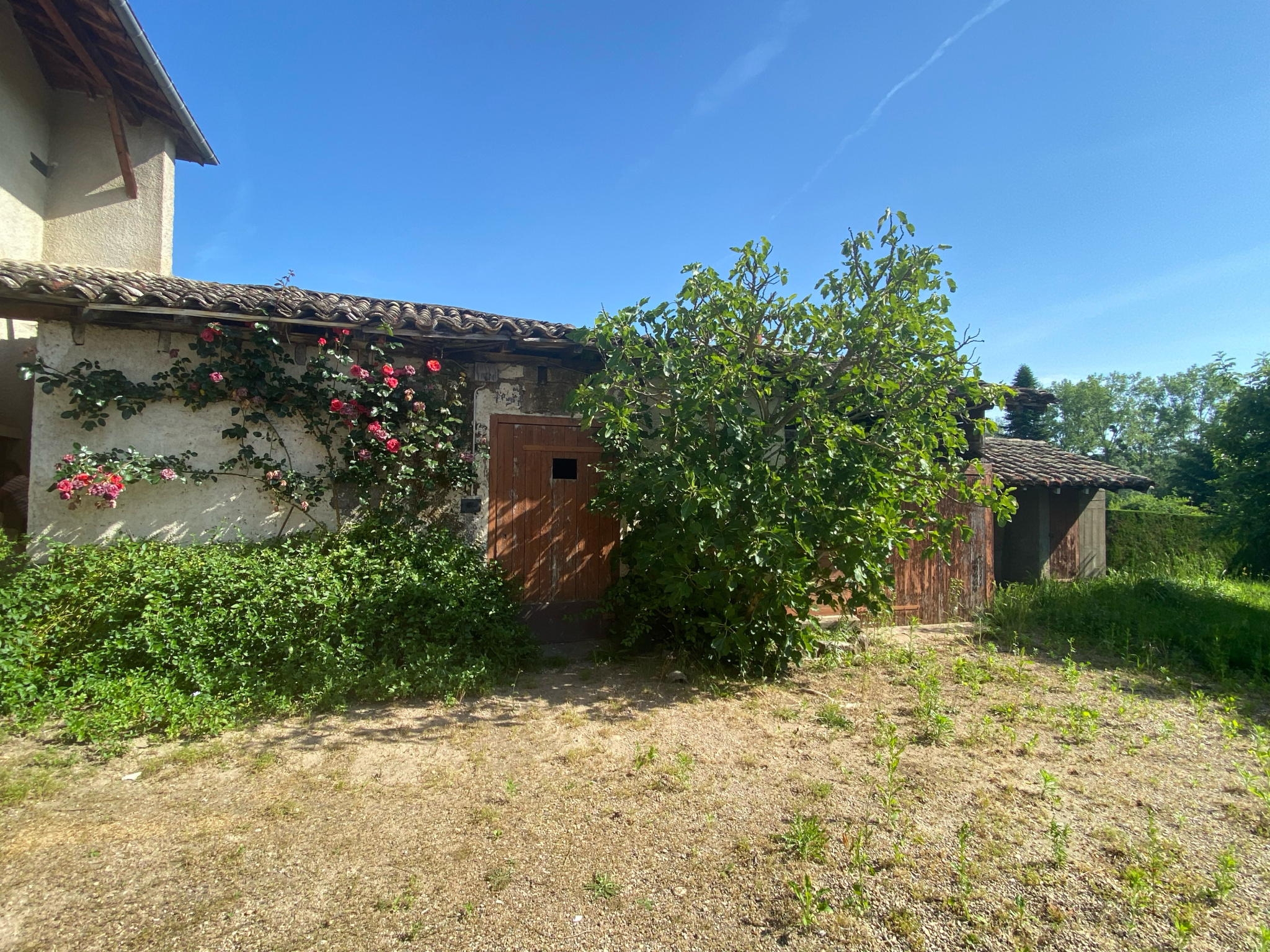Image_, Ferme, Cormoranche-sur-Saône, ref :492